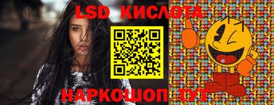 гашик Донской